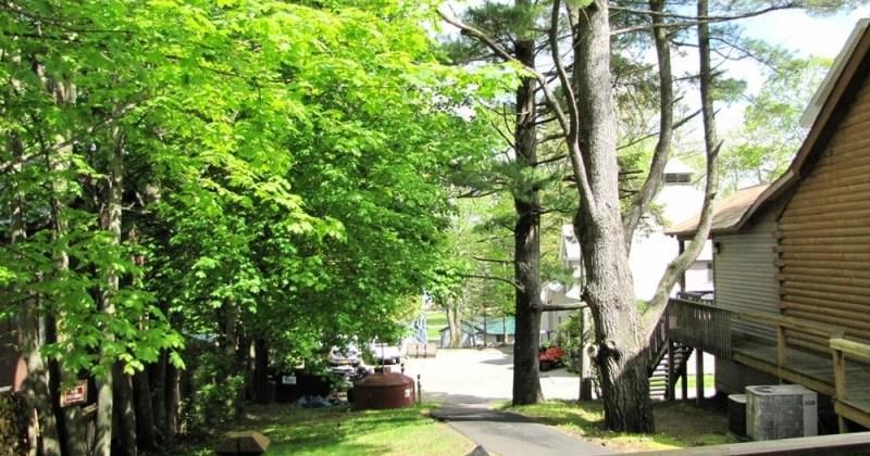 Depe Dene Resort レイク・ジョージ エクステリア 写真